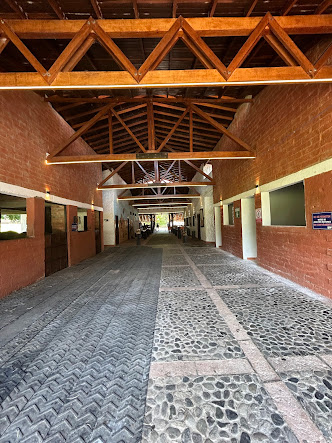 Montaje de mesas para la recepción